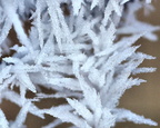 Hoar Frost Detail
