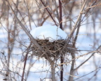 Empty Nest
